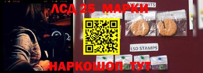 гашик Новодвинск