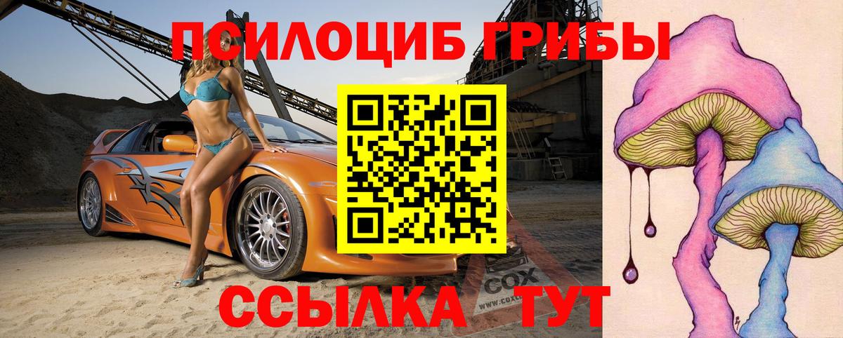 Галлюциногенные грибы прущие грибы  купить   Старая Купавна  Вход с VPN  Галлюциногенные грибы прущие грибы 