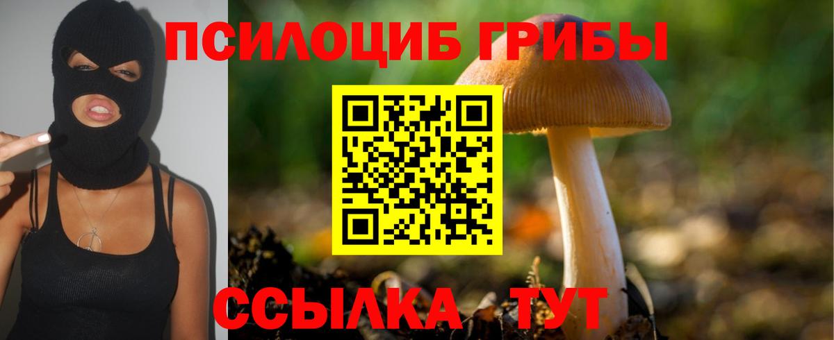 Галлюциногенные грибы мухоморы Старая Купавна